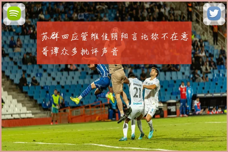 苏群回应管维佳阴阳言论称不在意哥谭众多批评声音